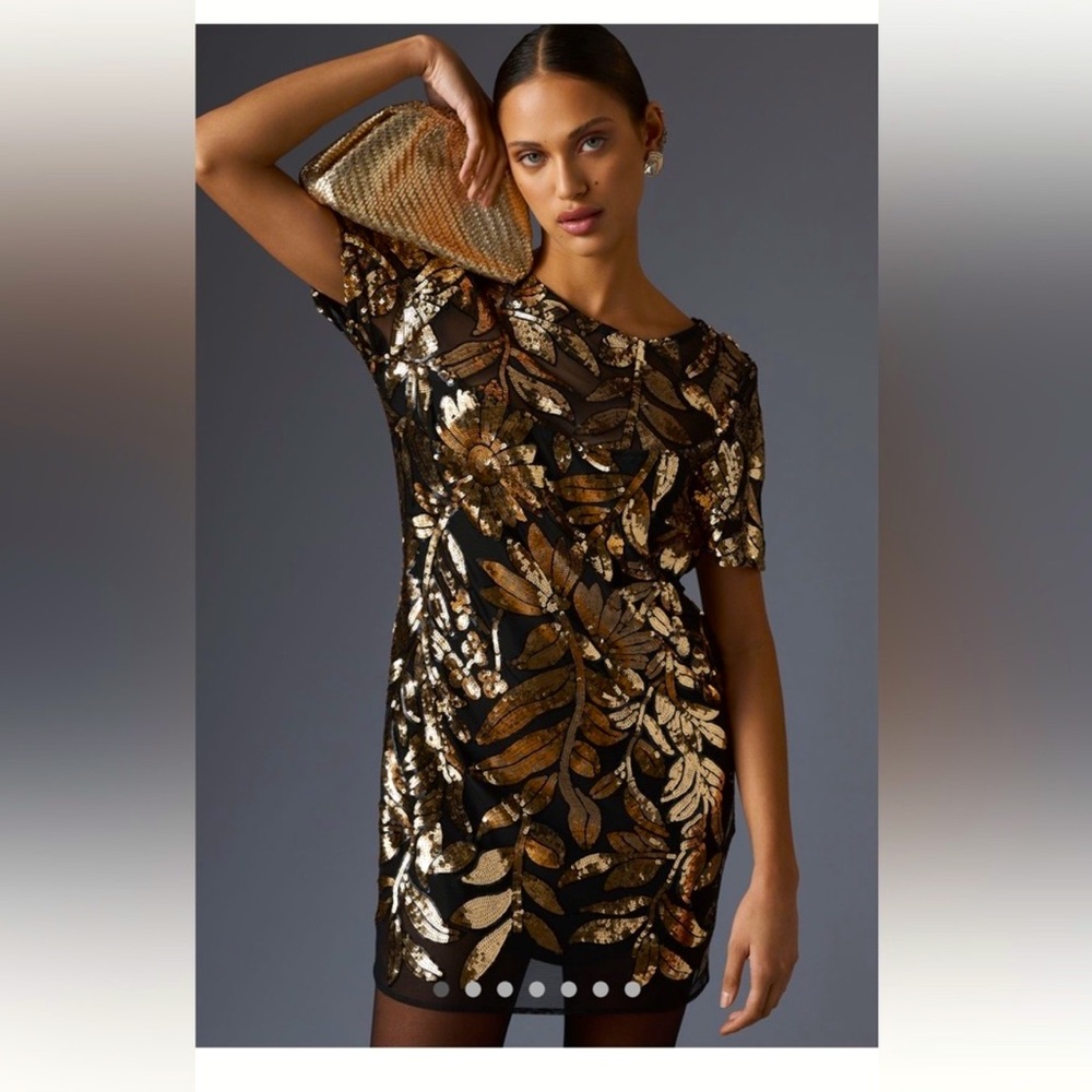 NWT Anthropologie Maeve Short Sleeved Sheer Embellished Mini Dress size M